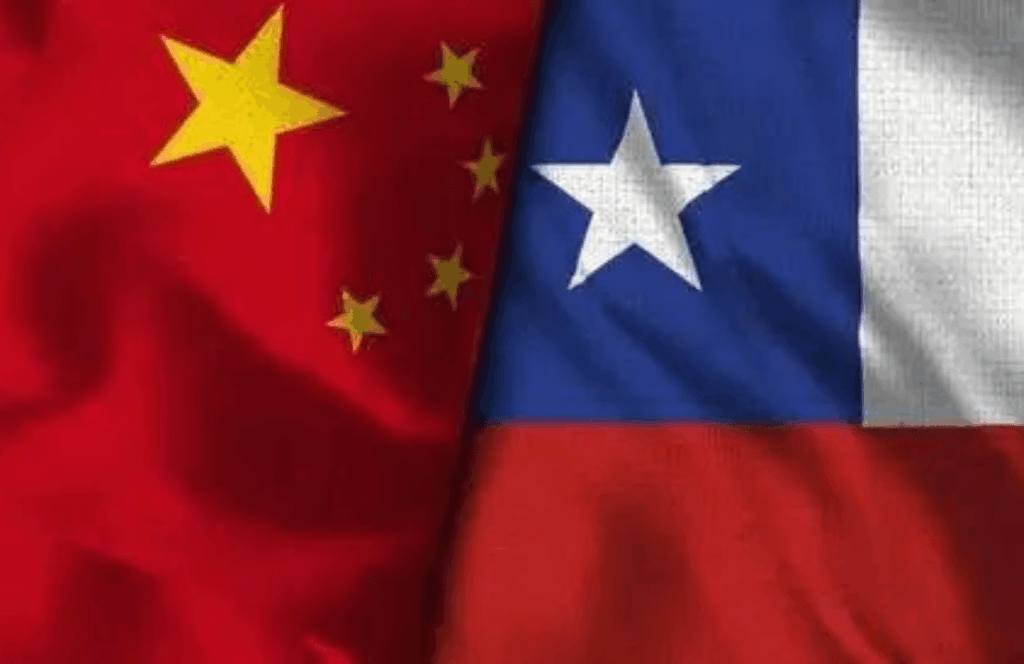 Chile Fertilizer Subsidy Policy